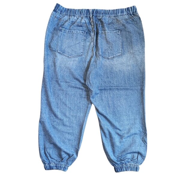 Blank NYC 3X Blue Pull On Painted  Pockets Elastic Joggers Swearpants Soft NWT - Picture 3 of 5